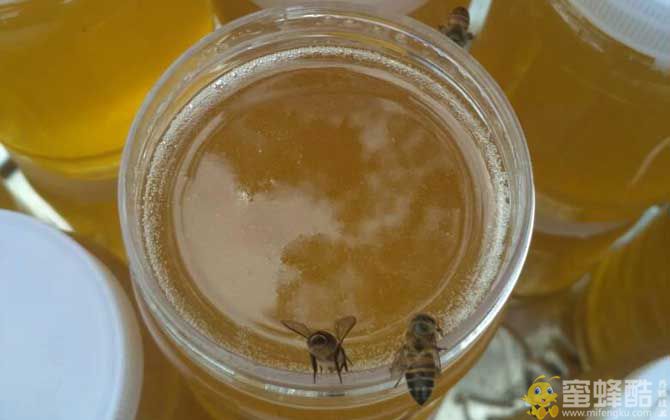 什么样的蜂蜜才是真正的蜂蜜？(图2)