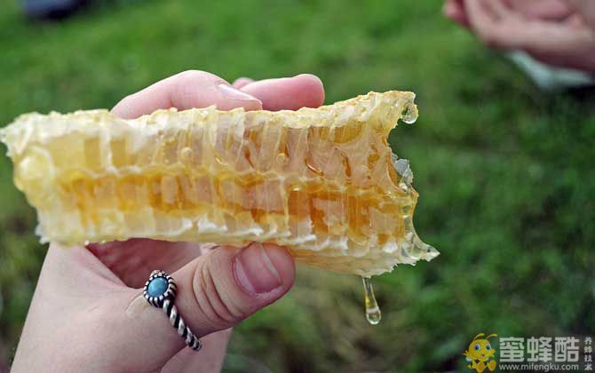 蜂巢蜜和蜂蜜有什么区别？