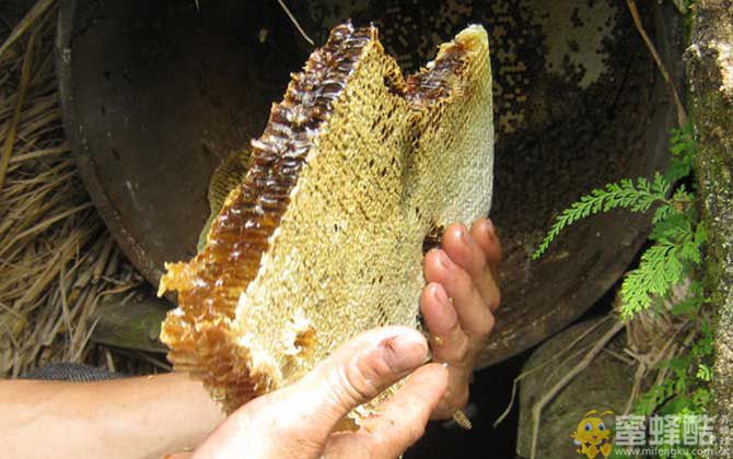 长期吃蜂巢蜜的危害有哪些？