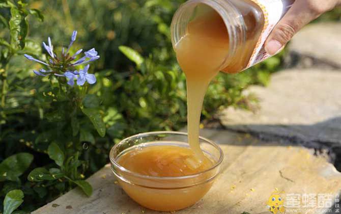 正宗荆条蜜价格多少钱一斤？
