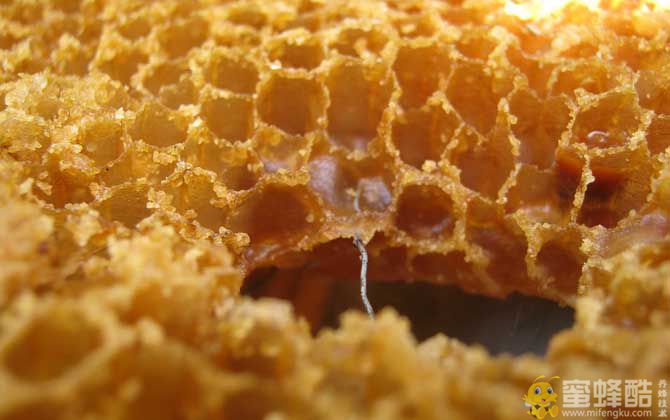 蜂巢怎么吃效果最好？(图1)