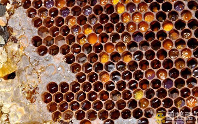 蜂巢怎么吃效果最好？(图3)