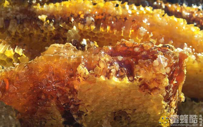 真正的蜂蜜多少钱一斤？(图3)