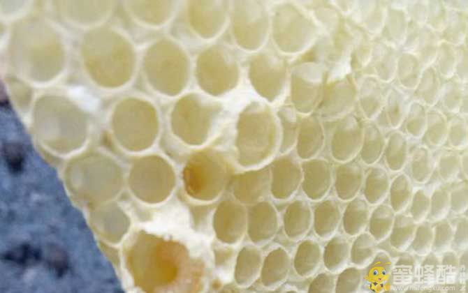 蜜蜂冬季养殖管理技术(图6)