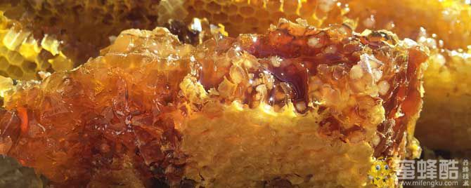天然蜂巢蜜多少钱一斤？(图1)