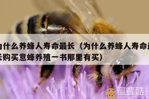 为什么养蜂人寿命最长的原因？